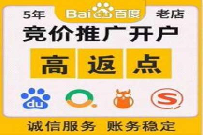 SEM代理助力品牌：案例解析，优化策略全揭秘